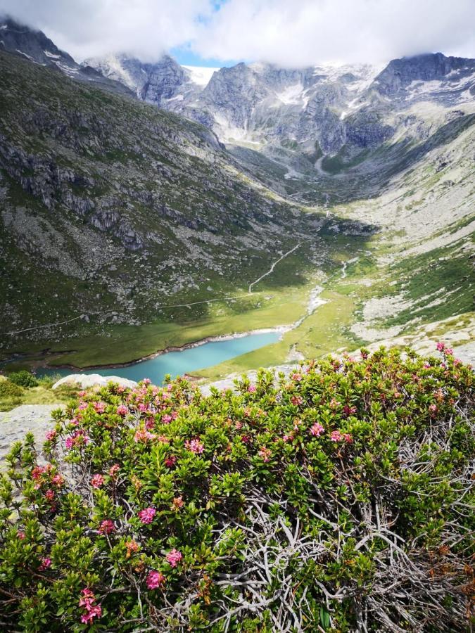 ホテル Rifugio Stella Alpina Saviore dell'Adamello エクステリア 写真