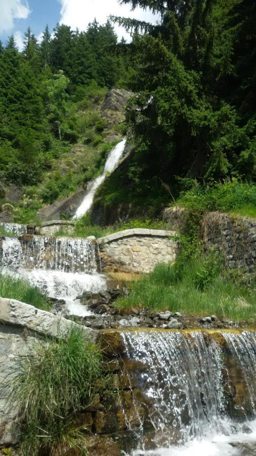 ホテル Rifugio Stella Alpina Saviore dell'Adamello エクステリア 写真