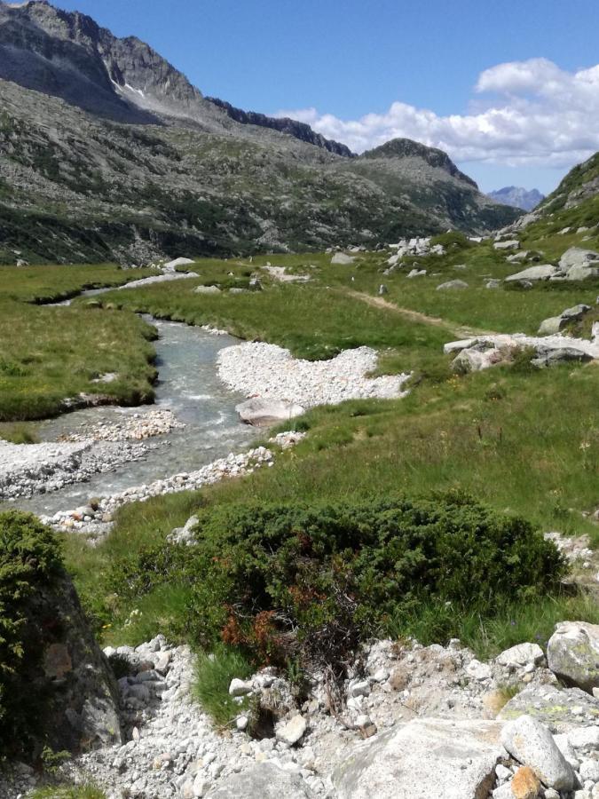 ホテル Rifugio Stella Alpina Saviore dell'Adamello エクステリア 写真